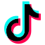 TikTok icon
